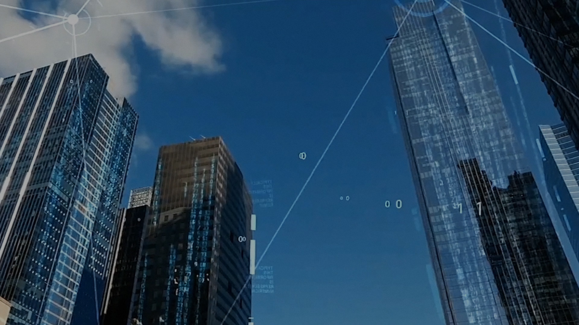 �ǻ���ʿר��